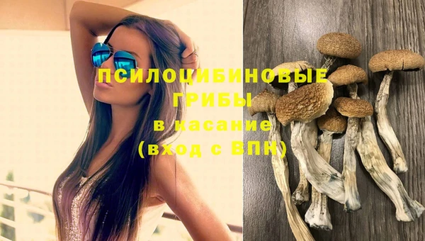 мяу мяу кристалл Каменка
