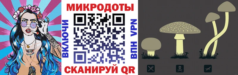 Галлюциногенные грибы Psilocybe  где купить наркотик  kraken сайт  Кореновск 