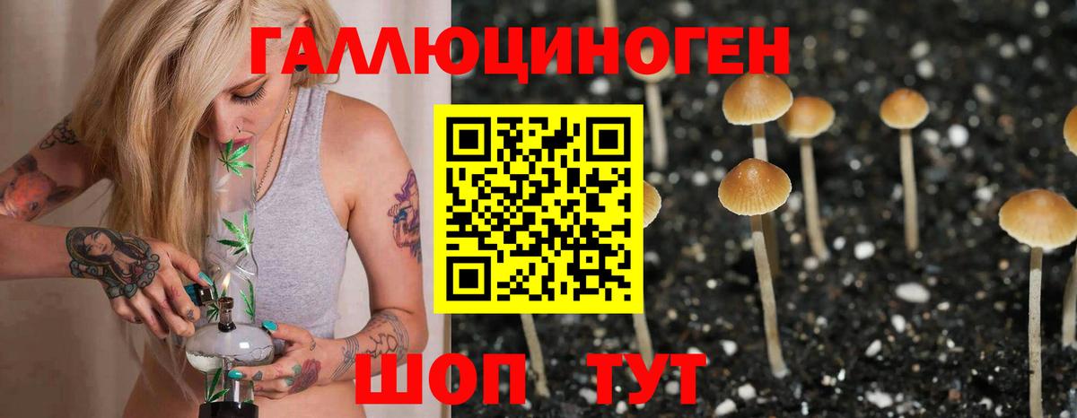 Галлюциногенные грибы Cubensis Кореновск