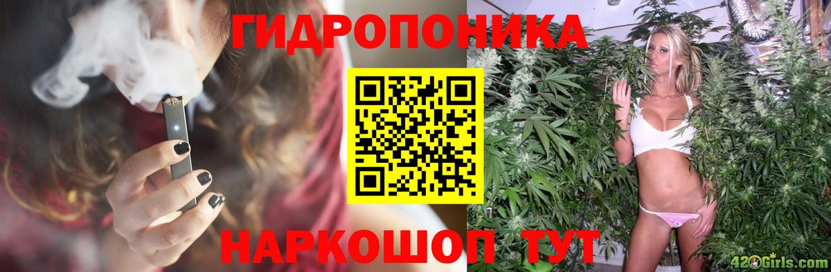 Конопля Amnesia Кореновск
